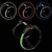 Pettorina Cane LED Ricaricabile PETTY - Imbracatura Antistrappo, Luci Fino A 500m, Taglia XXXS, Verde - Foto 2