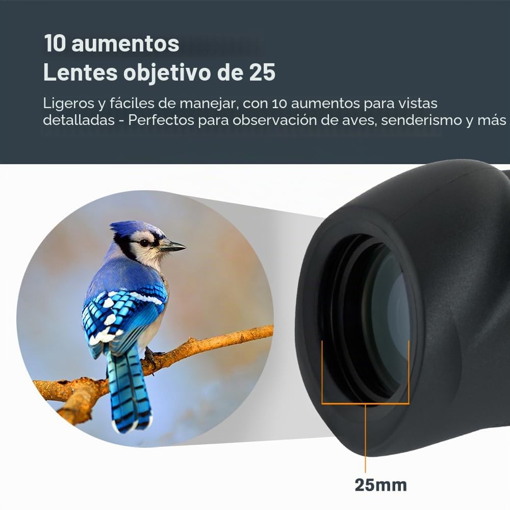 Celestron 71210 Nature DX 10x25 : monocular, negro