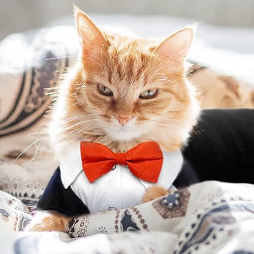 Miniatura 2 de Bonaweite Camisa de esmoquin de gato sin pelo, ropa de gato solo para gatos, traje de boda con 2 corbatín, disfraz formal de gatito para Sphynx,