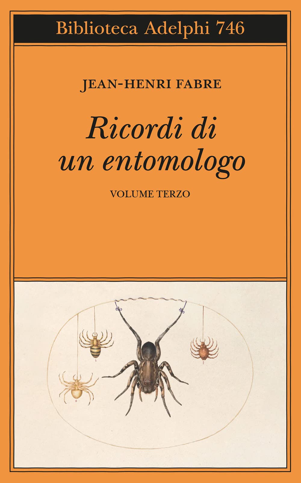 Ricordi Di Un Entomologo (Vol. 3) - 4
