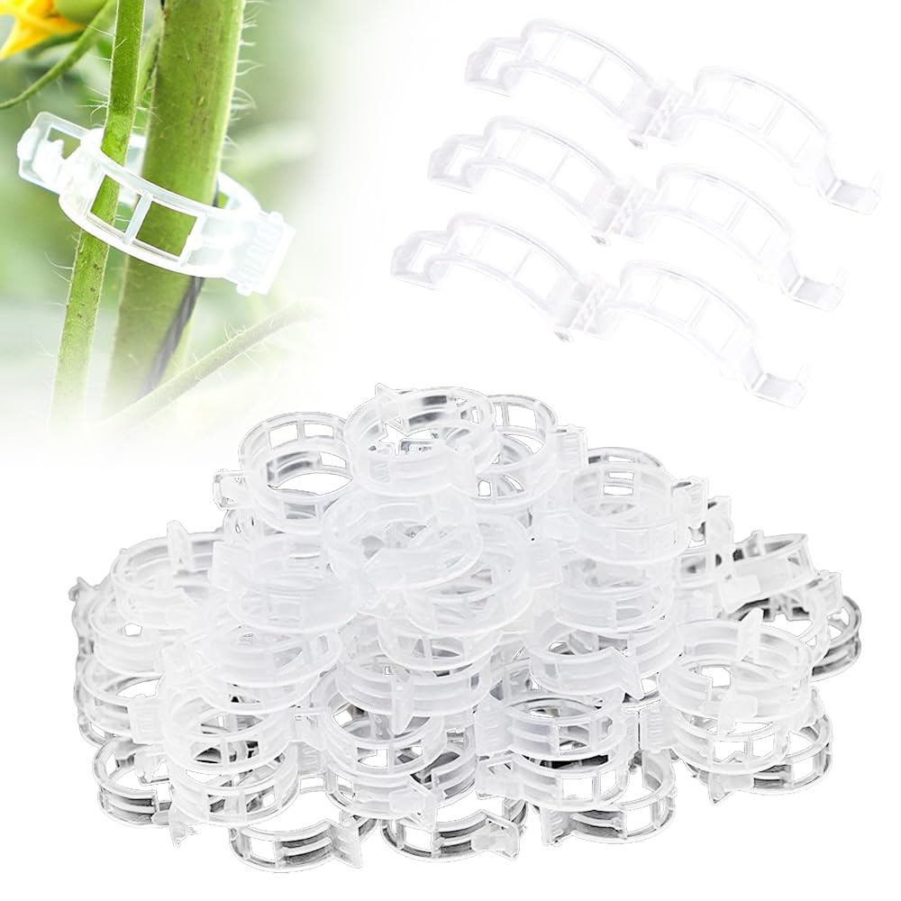 Secured Plastic Plant Clips, 2024 Newest Plant Clips 100/200 Pcs, Small Plant Support Clips for Climbing and Fastening of Plants, Reusable Garden Clips for Tomatoes Cucumbers (100, Transparent) — image 1