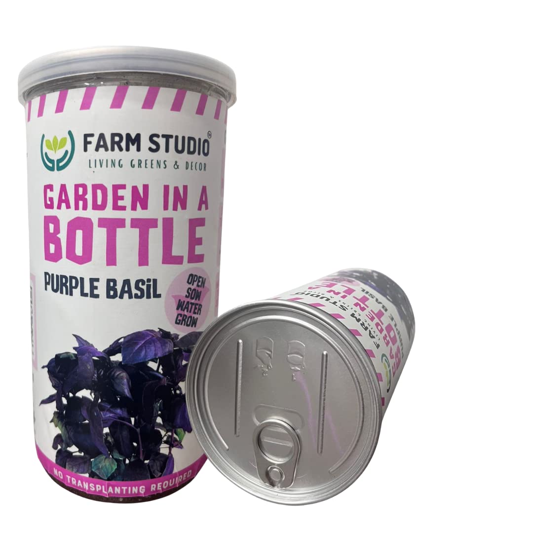 Farm Studio Garden in a Bottle – Purple Basil Indoor Herb Kit for Fresh Homegrown Herbs, Easy DIY Gardening for Beginners, Perfect for Small Spaces, Kitchens, Eco-Friendly Self-Watering Planter