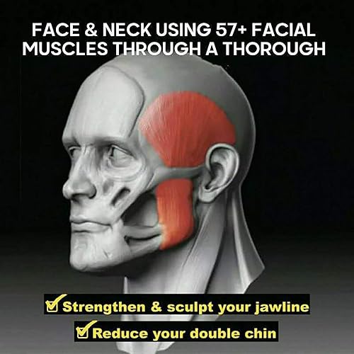 Miniatura 4 de Brife Ejercitador de mandíbula, cara y cuello, define tu mandíbula, adelgaza y tonifica tu cara, luce más joven y saludable, ayuda a reducir el