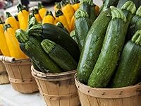 Vista 3 de Seeds Zucchini Courgette Squash Summer Mix 35 Days Fast Heirloom Vegetable Non GMO