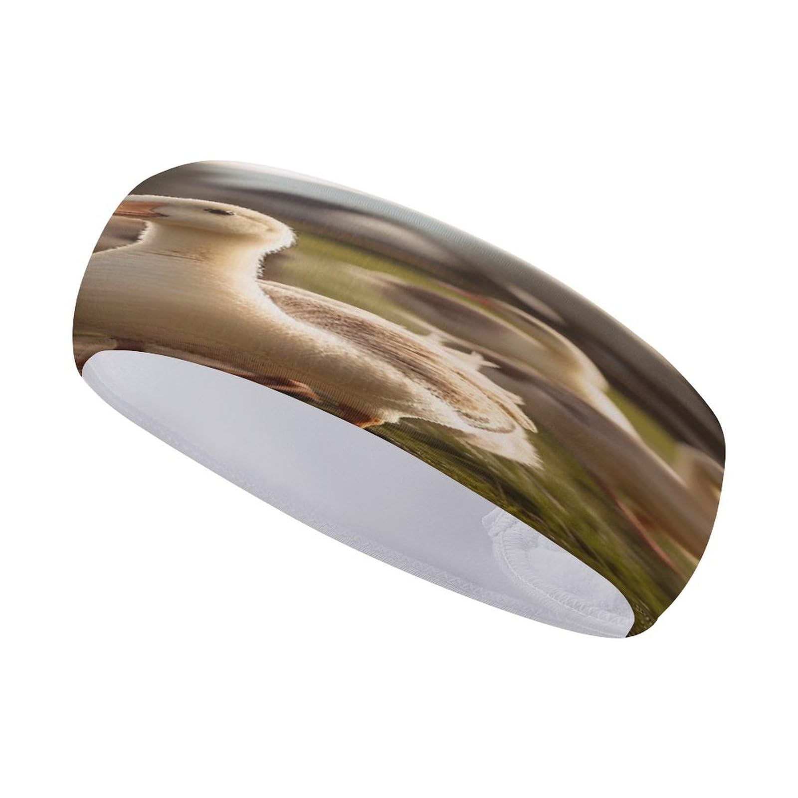 Sports Sweat-Absorbing Headband, Geese Walking on The Grass Printed Sweatband,Fitness Sweatband,Portable Sweatband