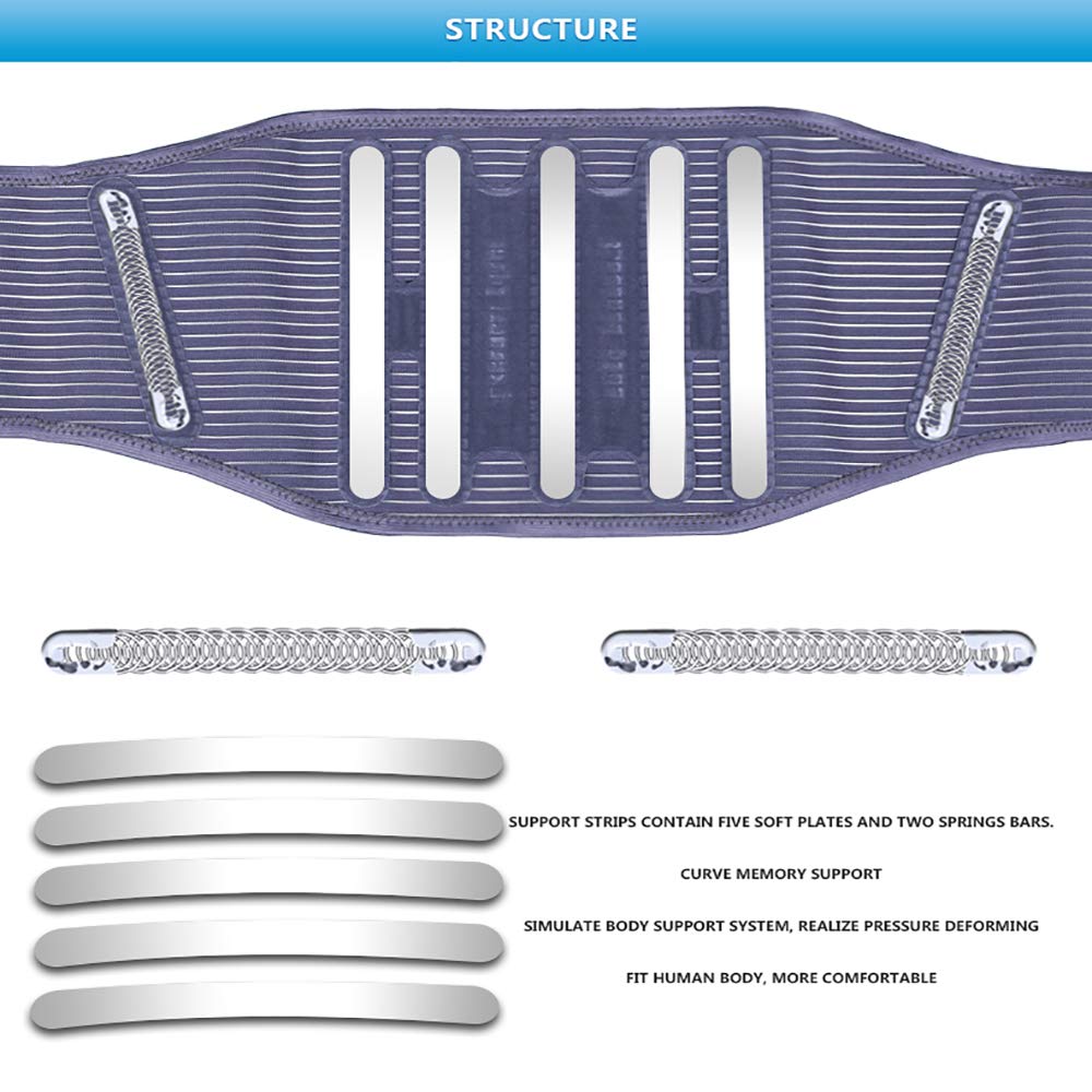 Faja Lumbar Fitness - Soporte de Refuerzo de Espalda Baja - para Hernia de Disco, ciática, escoliosis, estenosis espinal - con Correas de compresión Doble Ajustables,L