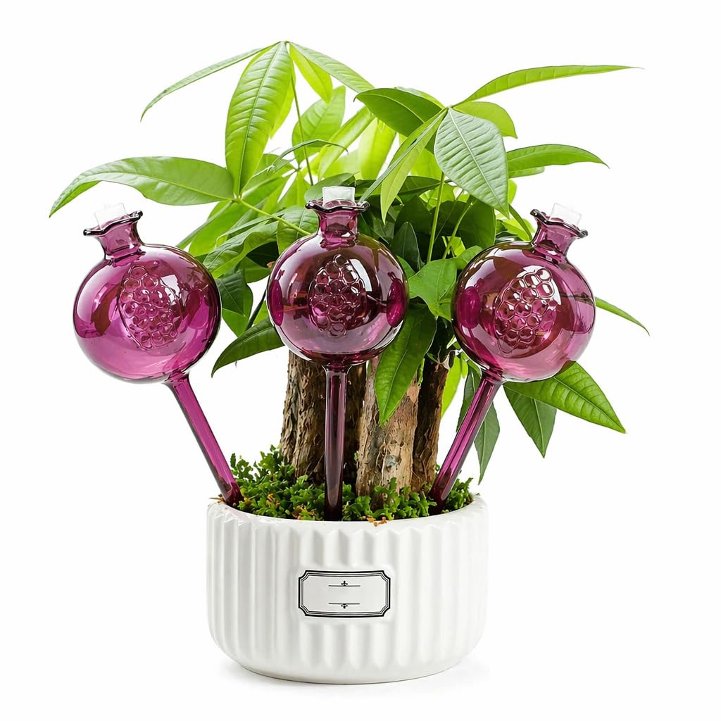 Lot de 3 globes d'arrosage automatique en verre violet en forme de grenade, arroseur automatique pour plantes d'intérieur pendant 5 à 7 jours, globes d'arrosage réglables en verre pour
