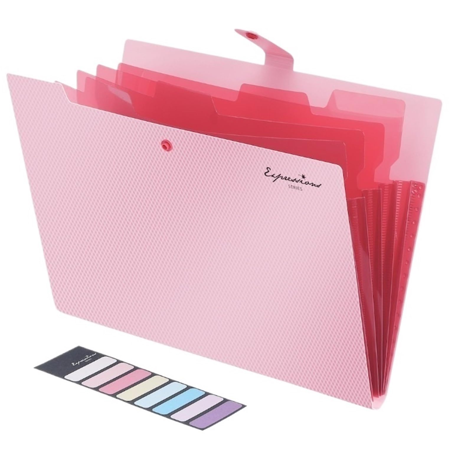 Cartelle A Soffietto Cartelle for documenti formato A4 da 3 tasche con 5 a fisarmonica