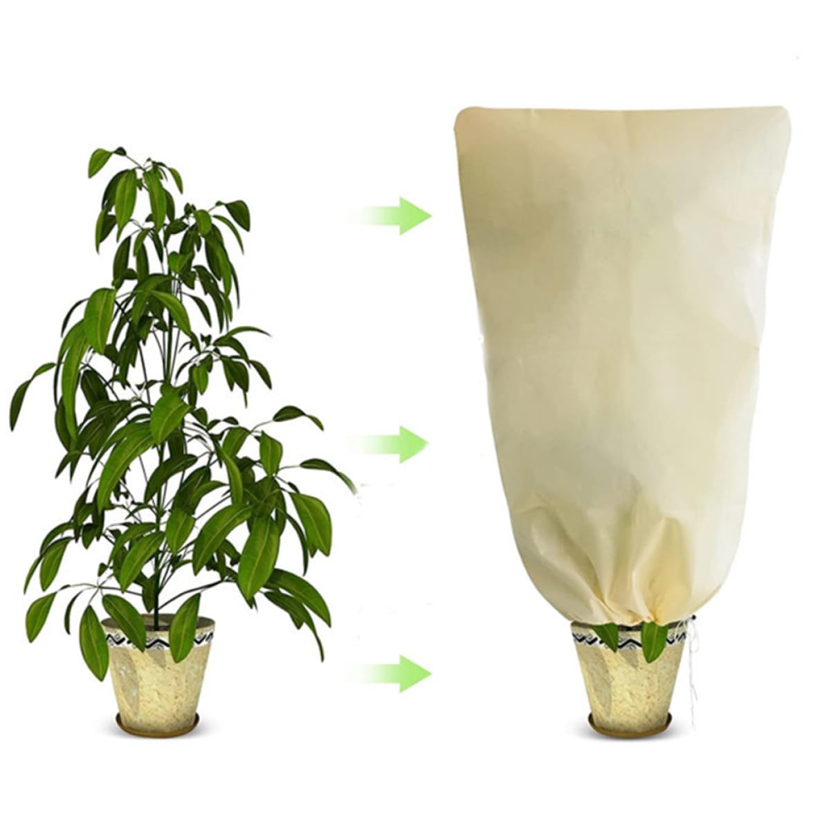 Frost for Plants - Tkanina Włókninowa Freeze Pokrowiec Na Drzewo Ze Ściągaczem