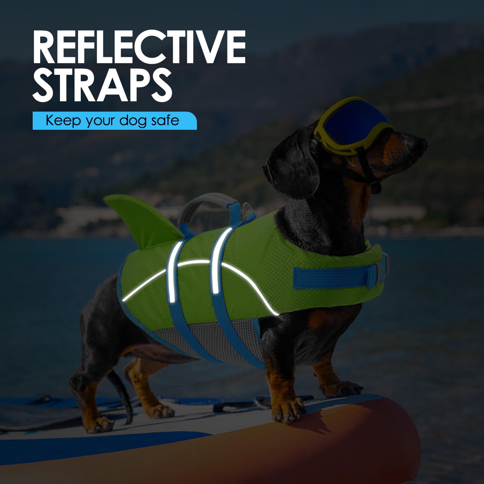 AOFITEE Gilet de Sauvetage pour Chien, Gilet de Sauvetage pour Chien pour la Natation et Le Bateau