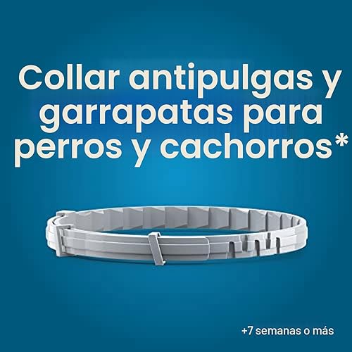 Miniatura 4 de Seresto Collar de Tratamiento y Prevención de Pulgas y Garrapatas Recomendado por Veterinarios para Perros Pequeños de Menos de 18 lbs. Paquete