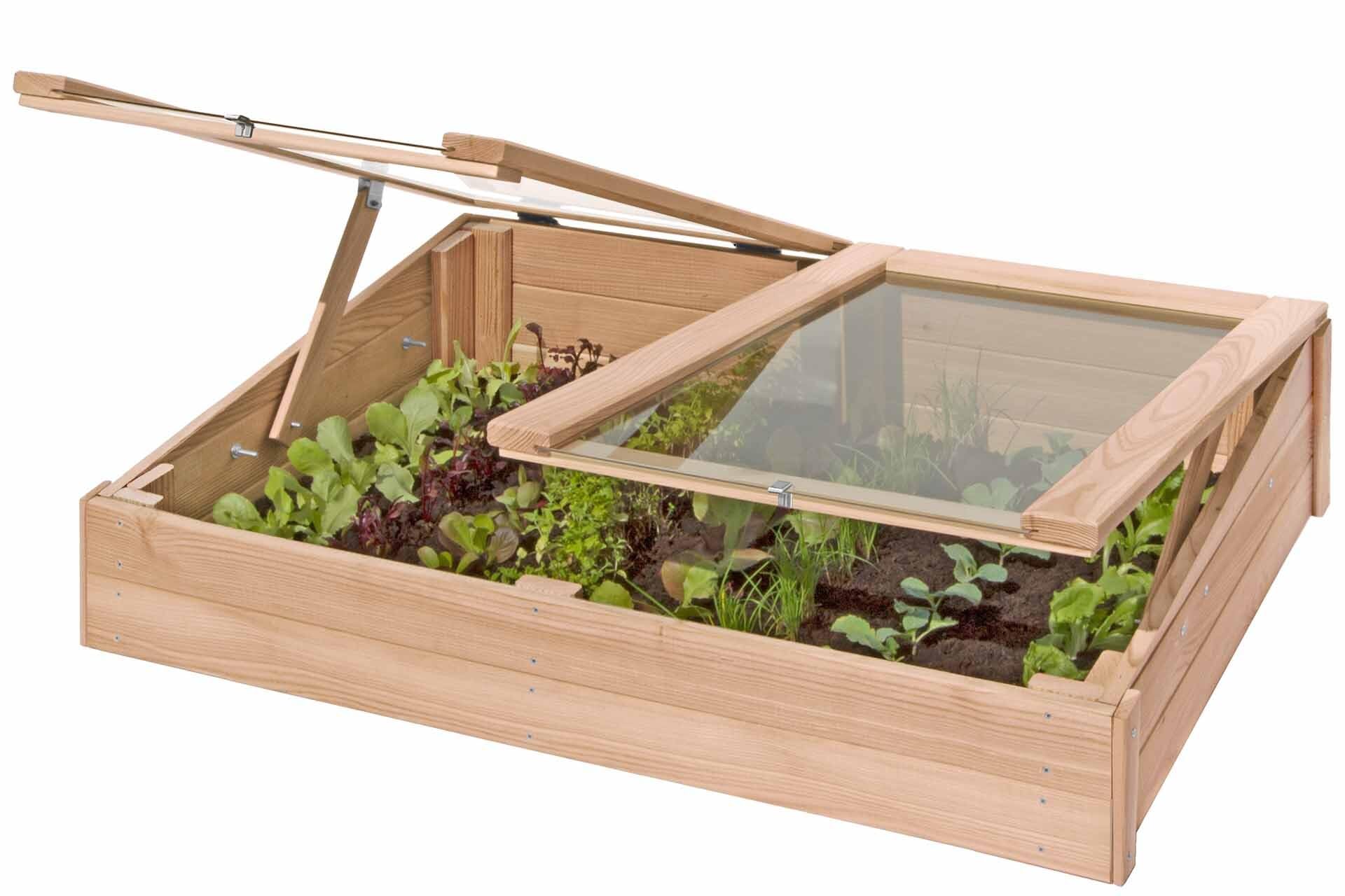 Mega Holz Frühbeet Gewächshaus Aufsatz aus Lärche 119x80x21 cm - Hochbeet-Aufsatz aus Holz mit Abdeckung - Treibhaus für Garten, Obst, Gemüse & Kräuter, witterungsbeständig, pflegeleicht & natürlich