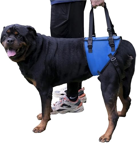 Arnés de soporte para patas traseras para perros grandes diseñado para perros con debilidad, discapacidad o lesiones en las patas traseras, ayuda
