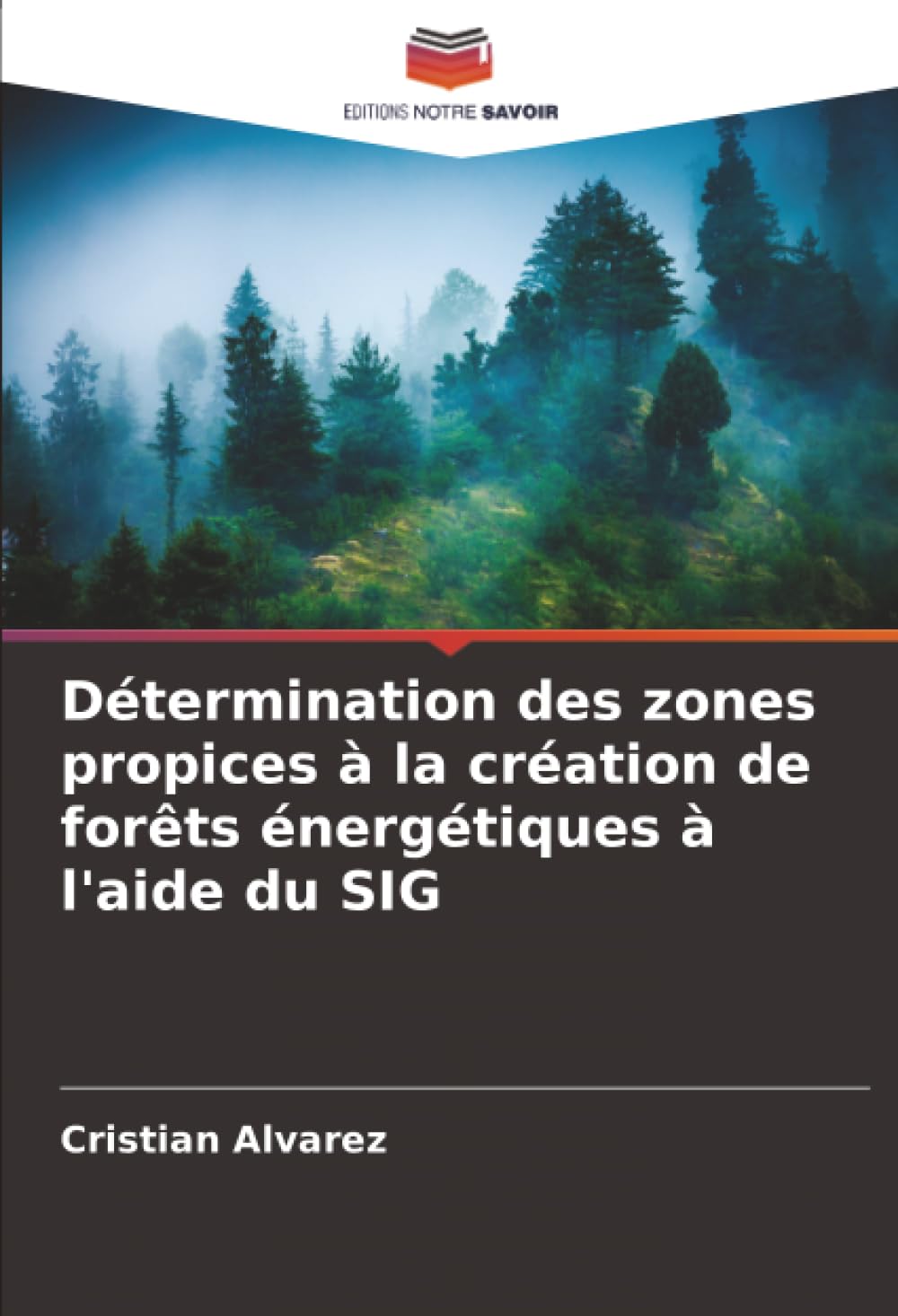 Détermination des zones propices à la création de forêts énergétiques à l'aide du SIG