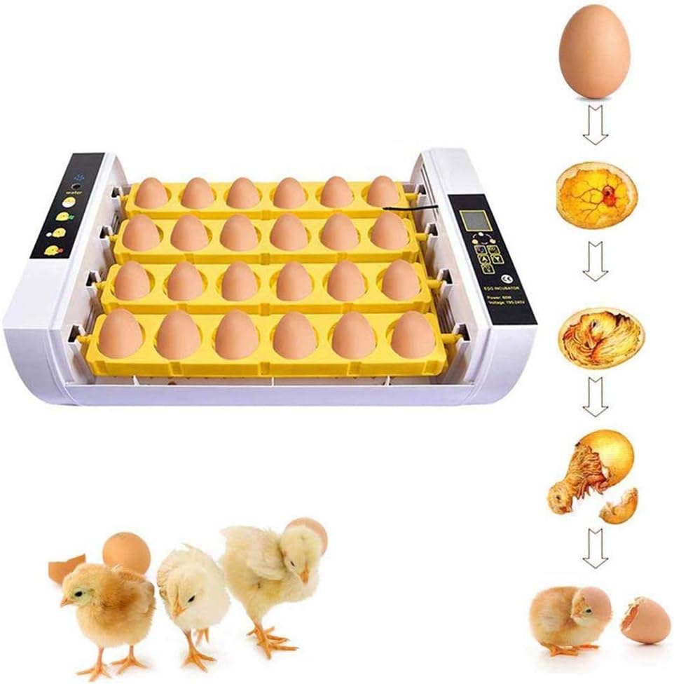 Egg Incubator 24 Intelligent Poultry Hatcher Temperature Humidity Control Automatic Turning Ventilation for Chicken Duck Goose Quailc Turning Ventilation for Chicken Duck Goose Quail
