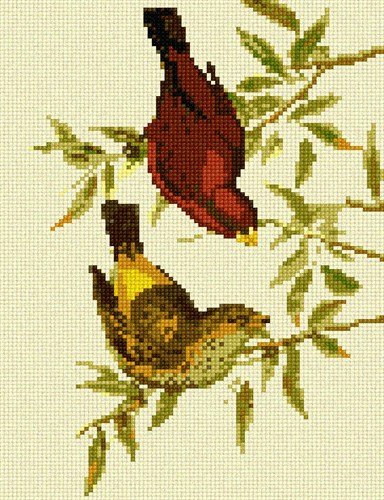 Pepita Needlepoint Canvas: Scarlet Finch, 7