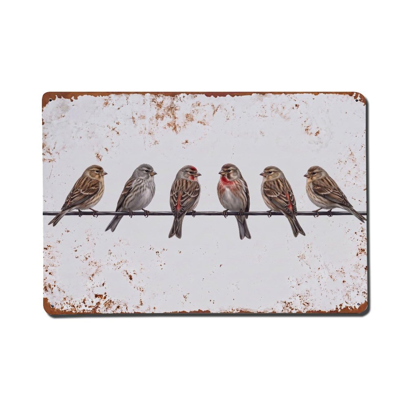 Vintage Retro Birds Twite Metal Tin Sign