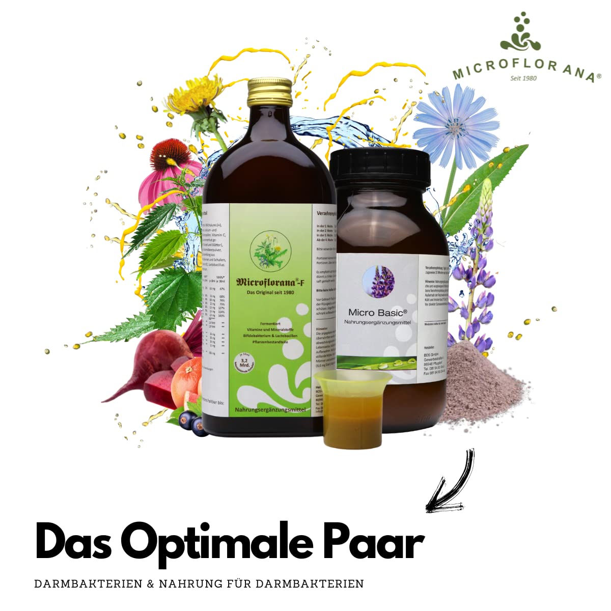 Darmkur - Probiotika und Präbiotika - Lebendige Darmbakterien - Bakterien Nahrung - Darmsanierung - Kulturen Komplex - Das Optimale Paar - Set (Große Darmsanierung)