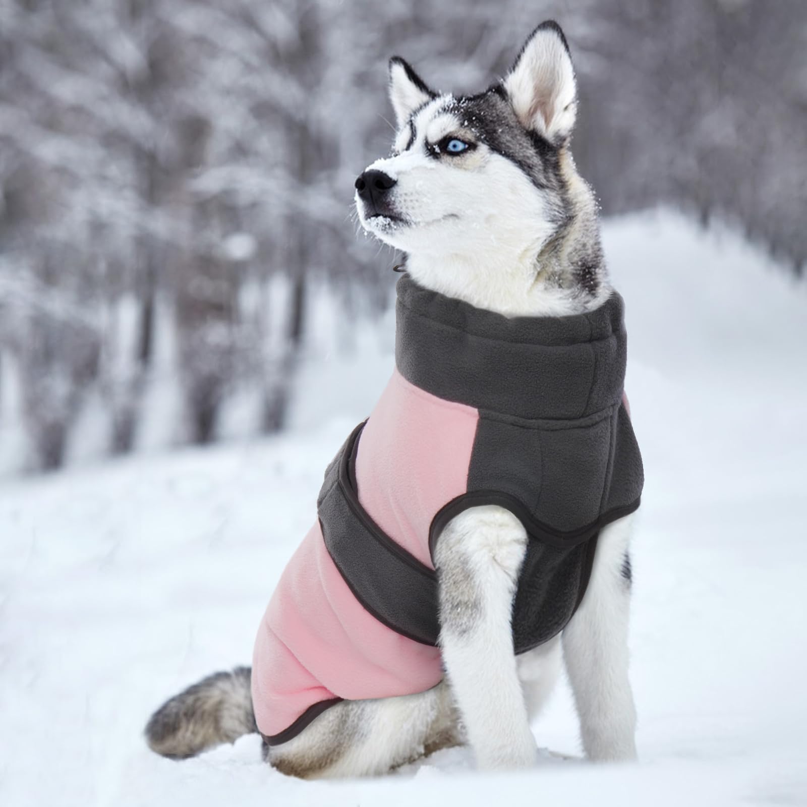 Winter Waterproof Polar Fleece Dog Jacket
