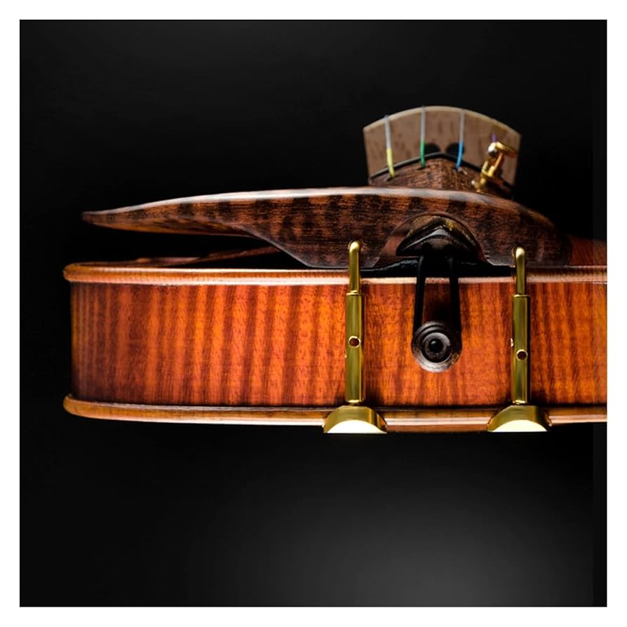 珍しい 、美しいデザインの 手作り バイオリン Amazon.co.jp