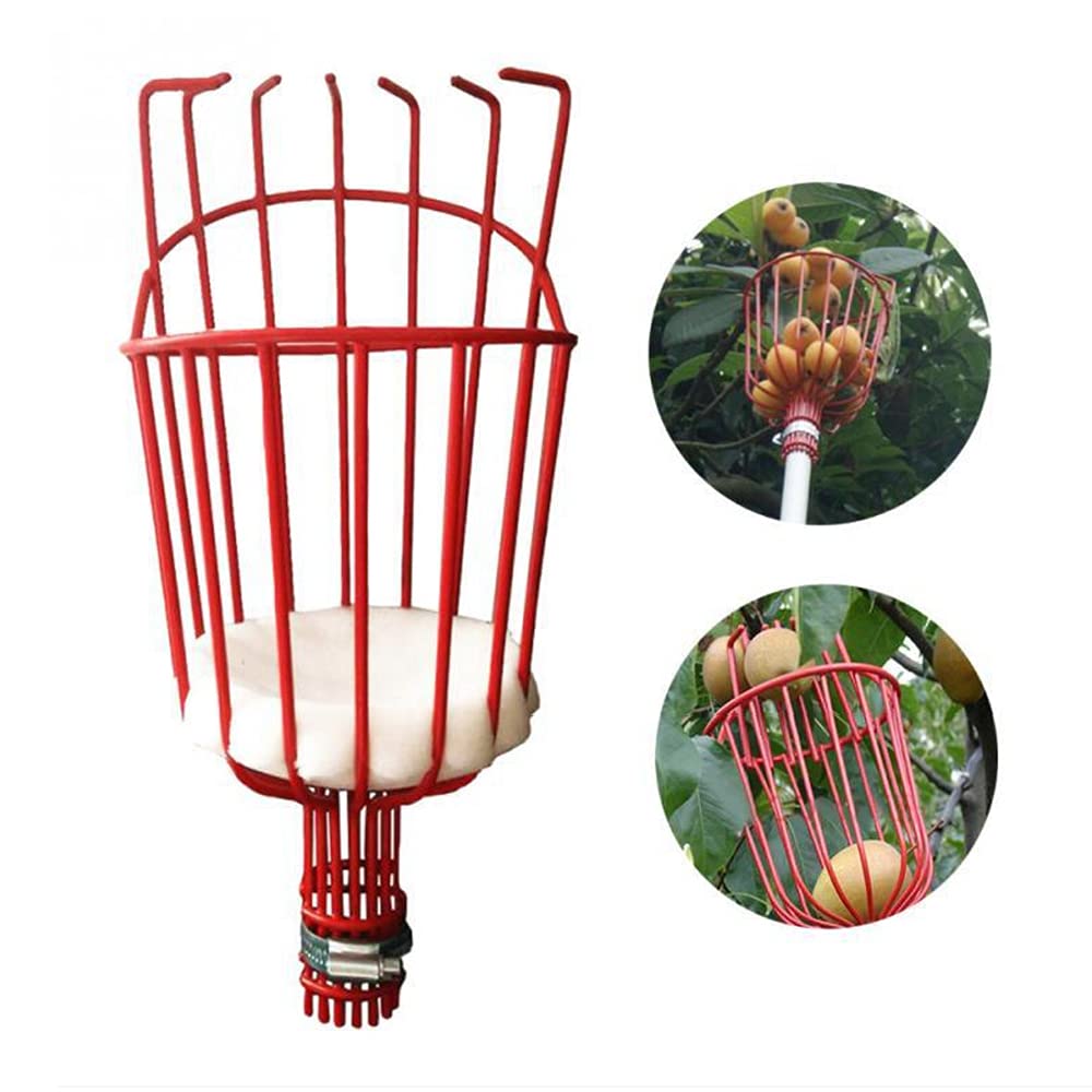 Raccogli Frutta Telescopico, Raccogli Ciliegie da Albero, Raccoglifrutta per Albicocche, Raccoglitori con Asta Regolabile 1.6 / 2.4 / 3.6m Harvesters Metallo Attrezzo per Mele Pere Limone (Ø 145mm)
