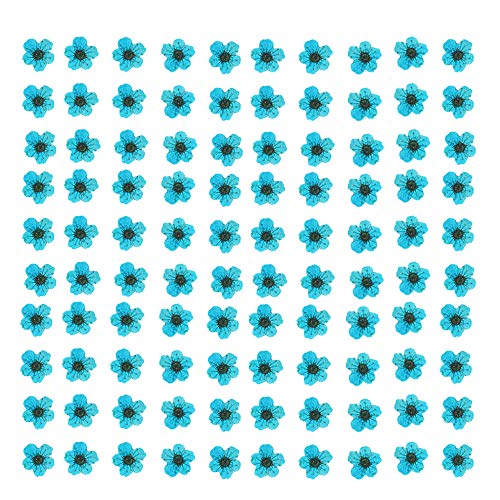 YUNZHI Pressed Flower for Resin Small Plum Blossom Narcissus, Dried Flower, Real Flower, Nail Flower Material, Glue Drop, Mobile Phone case, Hand Made 100pcs/pack (Lake Blue)
