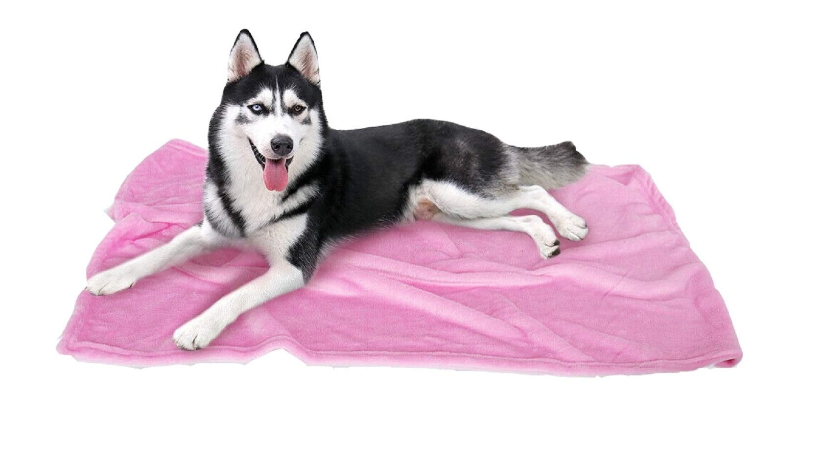See full amazon price history chart for Petslover Dog Bed, Black, 650gm (Medium, Pink) Petslover Dog Bed, Black, 650gm (Medium, Pink) (B08QJ46NKC) Amazon Price History, Amazon Price Tracker
