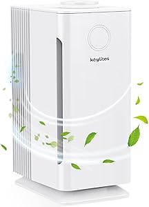 HEPA Filter Air Purifier for Home Office Large Room, H13 HEPA CADR Quiet Air Filter Cleaner for Odor Eliminator, Eliminates Germs, Filters Allergies, Pollen, Smoke, Dust Pet Dander, Mold Odors