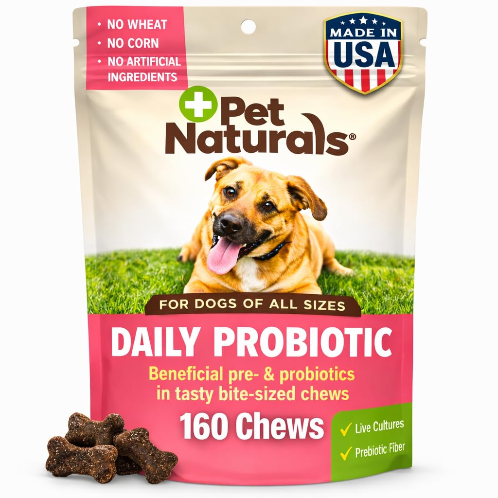 Probiotics for Dogs – 160 Soft Chews, Dog Probiotic for Digestive & Gut Health Support with 120M CFUs + Prebiotics, Immune Support for Occasional Upset Stomach, Duck Flavor, All Breeds
