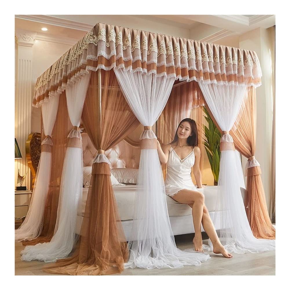 Cortina de Cama con Dosel de 4 Esquinas, Cortina de Cama con Dosel de Encaje Bordado de Princesa con Volantes, Cortina con Dosel para Cama para Adultos y Adultos, mosquitera de Malla transpa