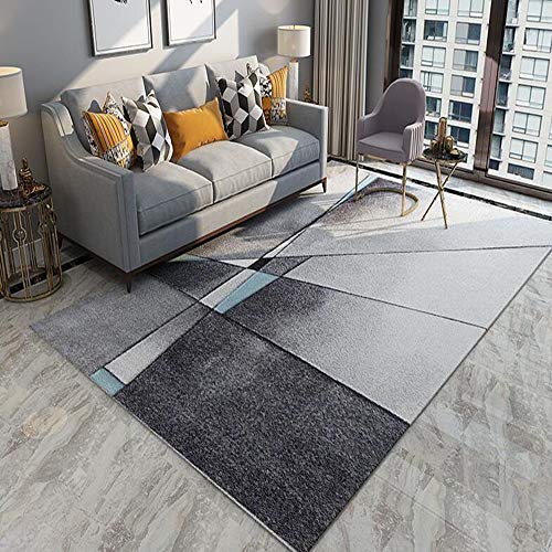 Tapis de salon lavable pour éliminer les taches tenaces