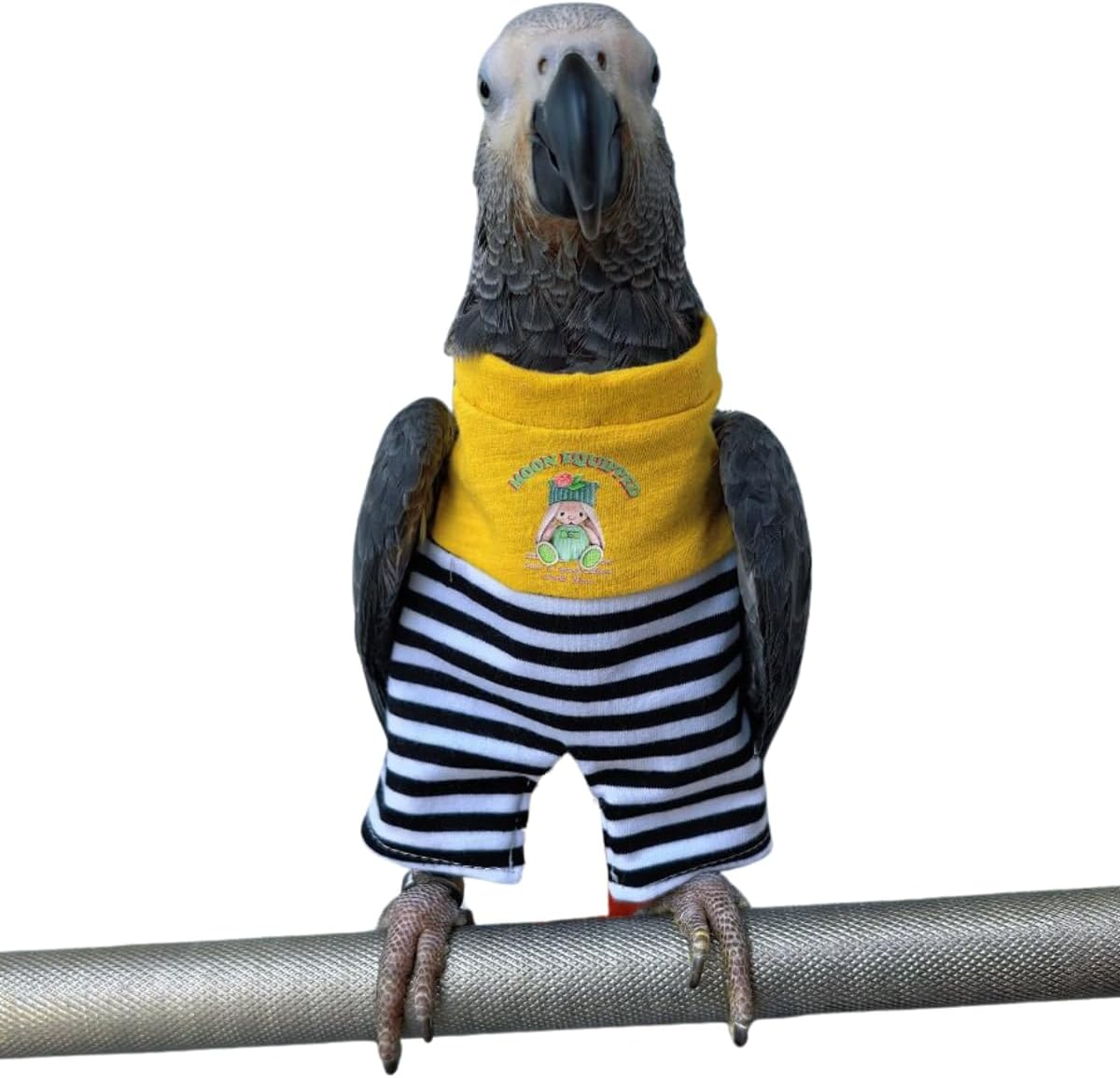 Bird Costume Bird Flight Suit Cute Striped Romper Pants Clothes Cosplay Photo Prop Outfit for Parrots Macaw Cockatoo Conure African Grey (Macaw)