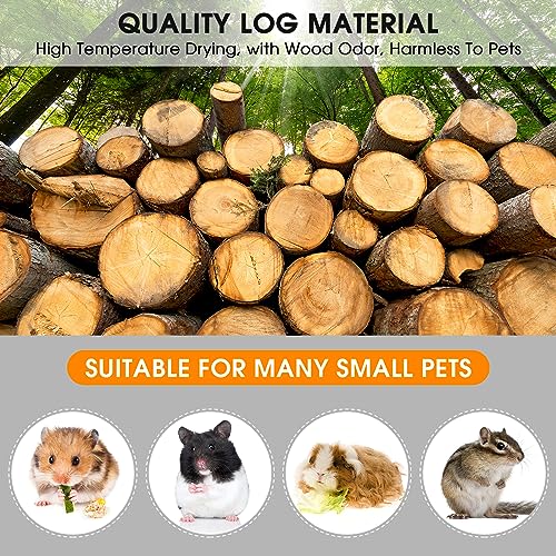 Kit plateforme d'escalade hamster en bois pour éviter l'ennui en cage - 7