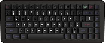 Amazon | BackSpace OASIS75 LIte ラピットトリガー対応ゲーミング磁気