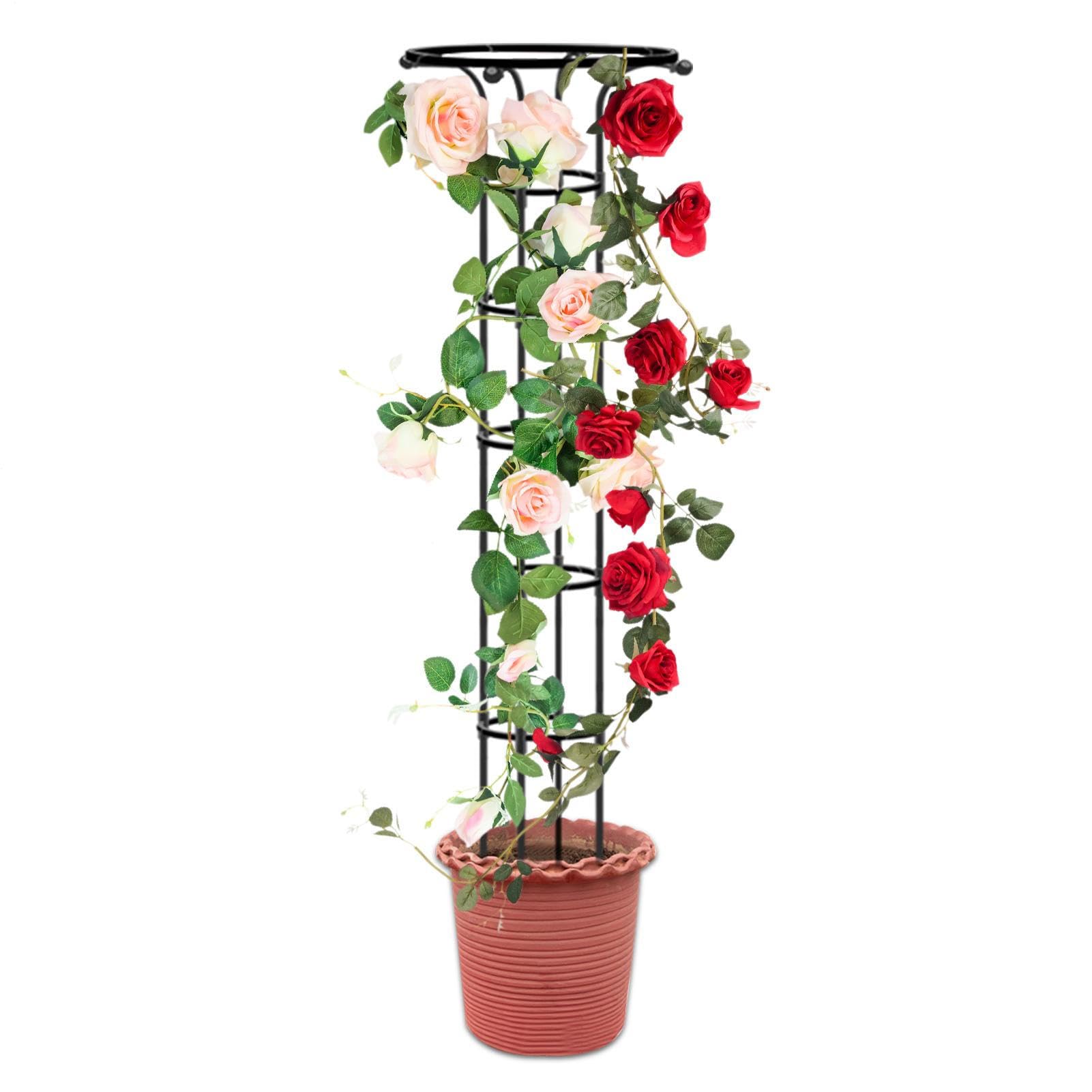 Obélisque de Jardin en Tubes en Acier pour Plants Grimpantes