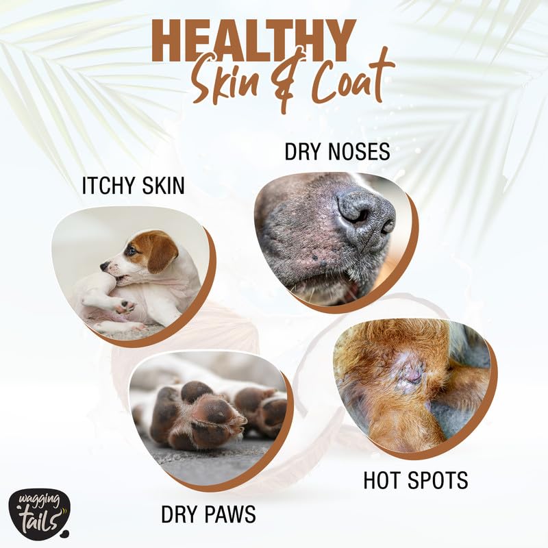 Wagging Tails Virgin Coconut Oil 400 ml for Dogs, Cats and Pets | Natural Virgin Coconut Oil Use for Gentle Skin Solution | Edible Oil | Good for Hair & Skin 1