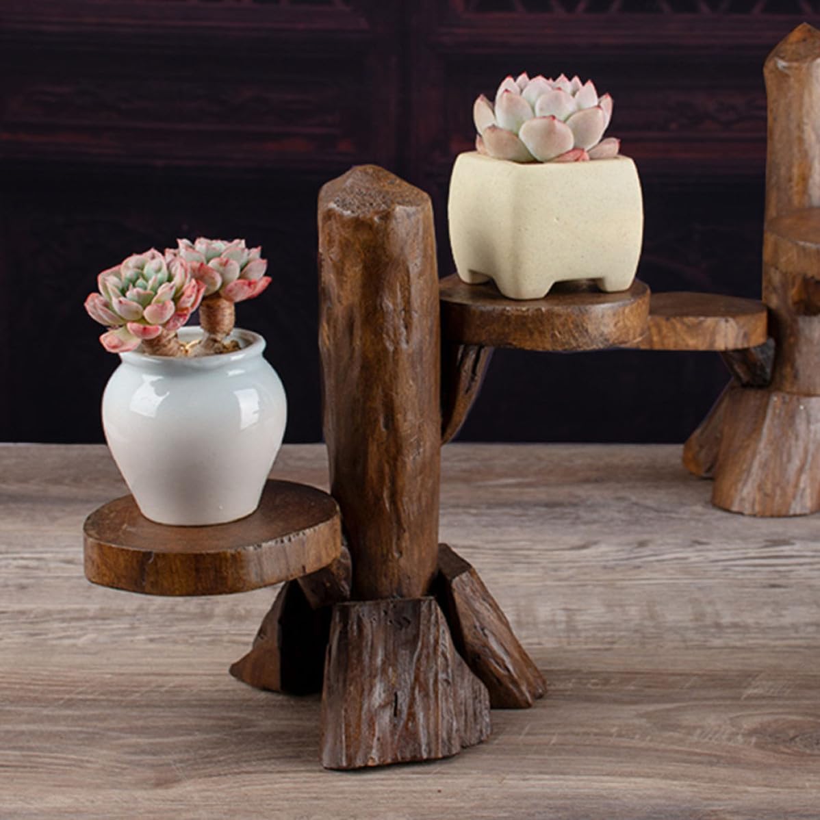 Tofficu Supporto Verticale per Piante Mini in Legno, Autoportante