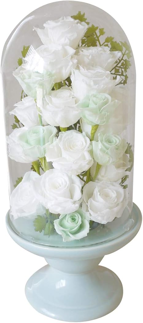 Amazon ドーム L ホワイト プリザーブドフラワー 仏花 ドーム 初盆 花 お供え物 プリザーフラワー仏花 供花 ガラスドーム 法事 仏壇用 仏具 花ギフト おしゃれ お供えの花 ミニ仏壇 モダン お彼岸 弔電 一周忌 アレンジ仏花 命日 花 造花 三回忌 四十九日 お盆 ペット 仏壇の