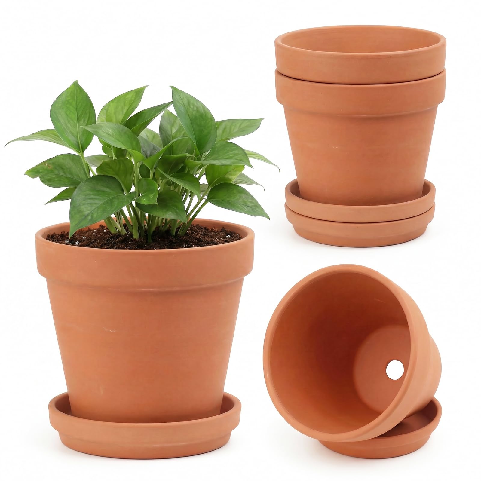 Photo 1 of Riseuvo 6 Inch Terracotta Pots with Saucers ā 4 Pack Medium Clay Flower Pots with Drainage Hole?Clay Pot for Succulents, Cactus and Indoor Plants, Wedding Favors