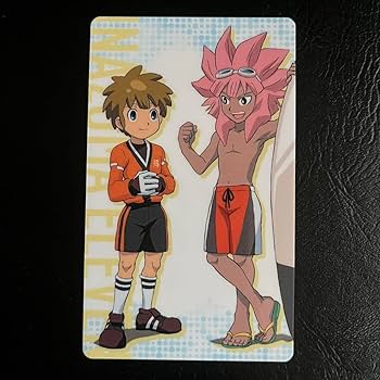 Amazon.co.jp: イナイレ 立向居勇気 綱海条介 イラストカード : おもちゃ