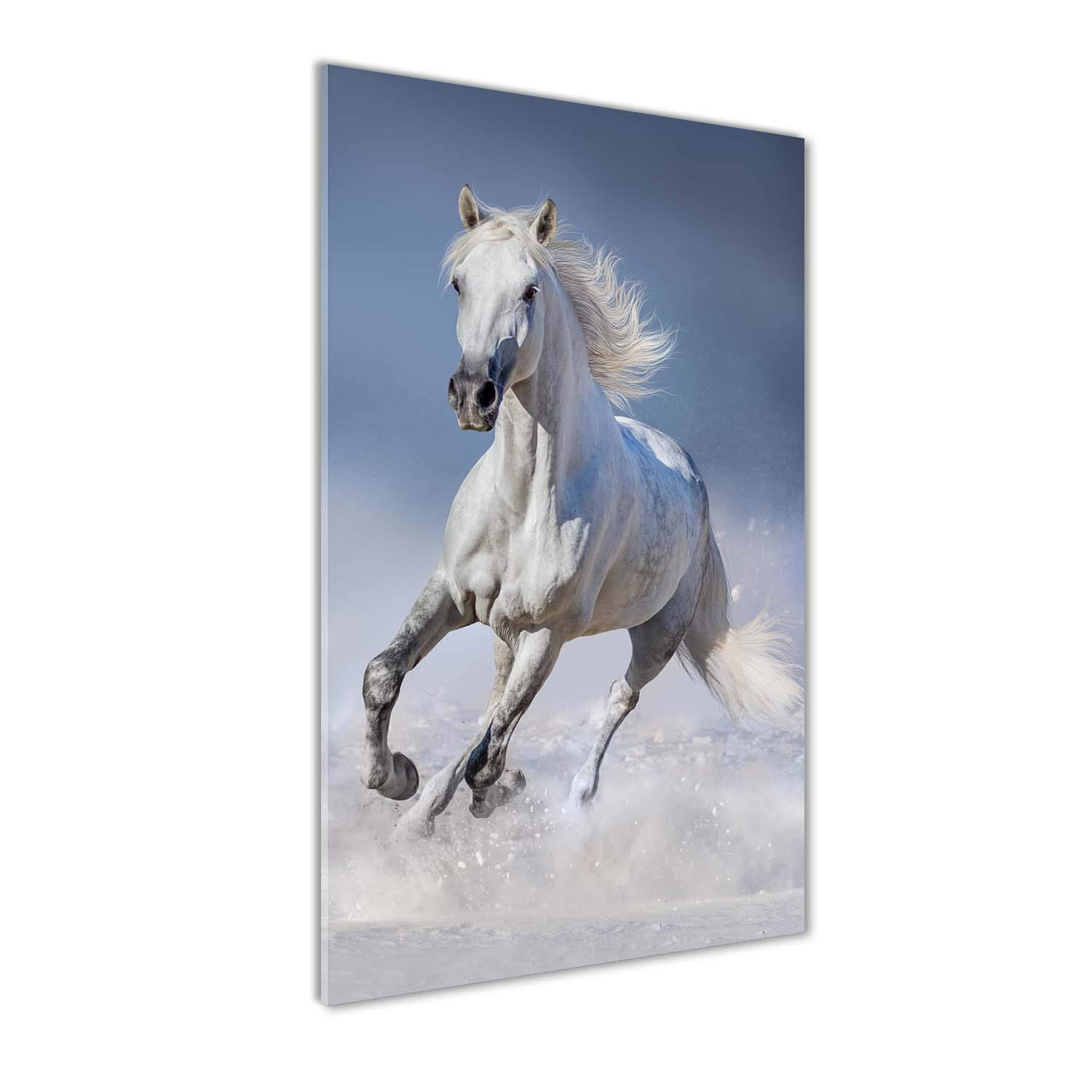 Déco mural derrière le plastique acrylique cheval blanc 60x120