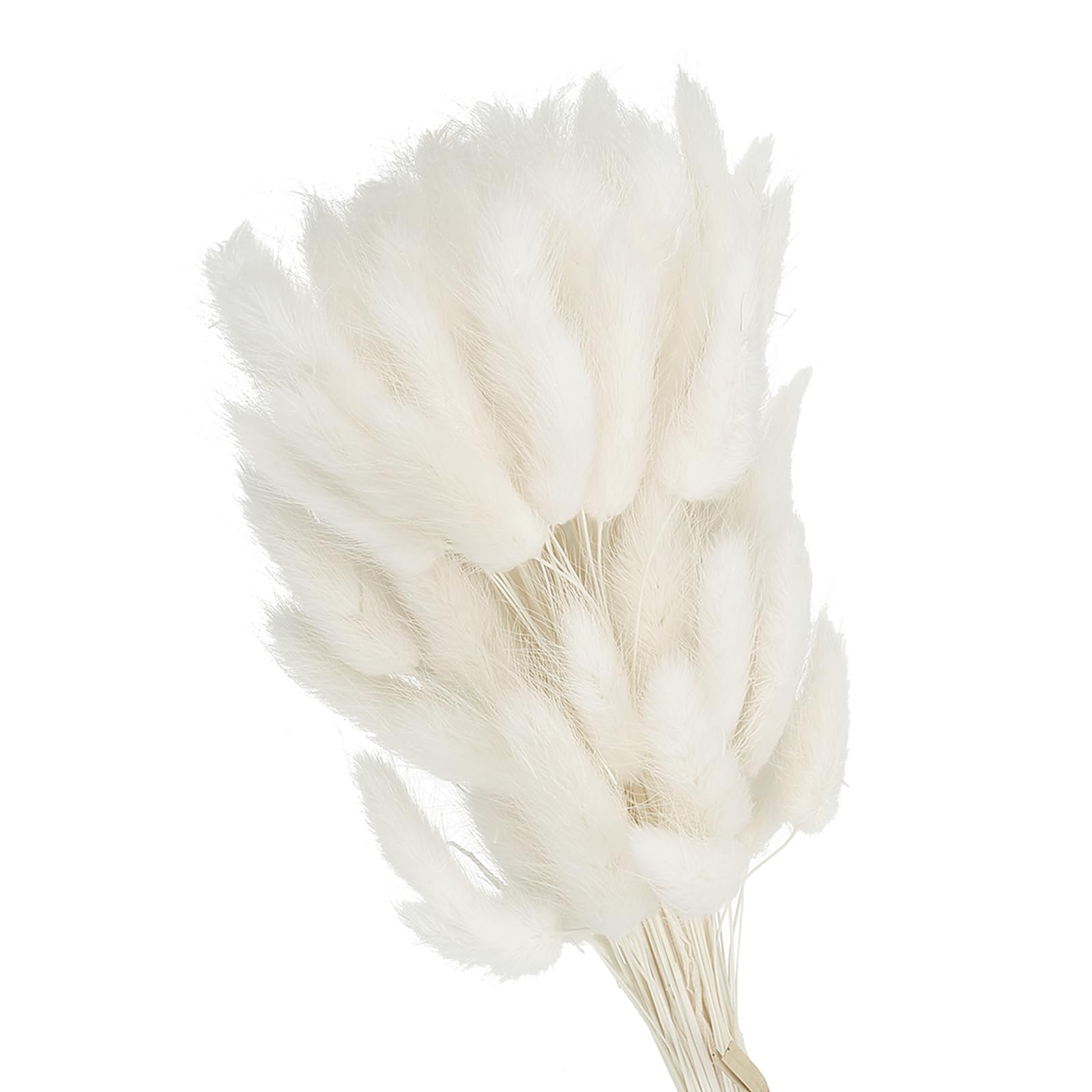 PATIKIL 15.7in Bunny Tails Dried Flowers, 120pcs Pampas Grass Decor Rabbit Tail Natural Pampas Grass Bulk Fluffy Faux Pampas Grass Dried for Home Boho Decor Vase Wedding Table, White