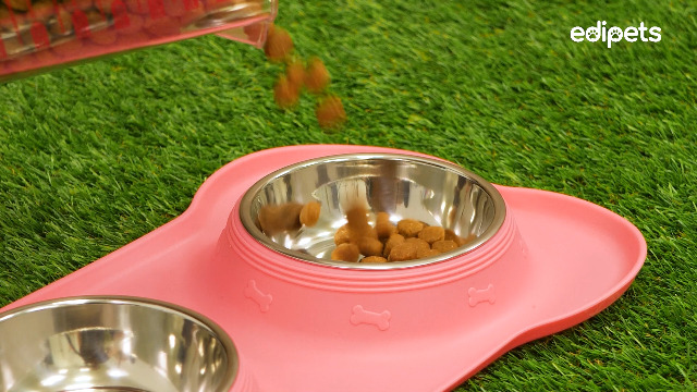 Bicchieri di plastica trasparenti per animali domestici da 32 once con