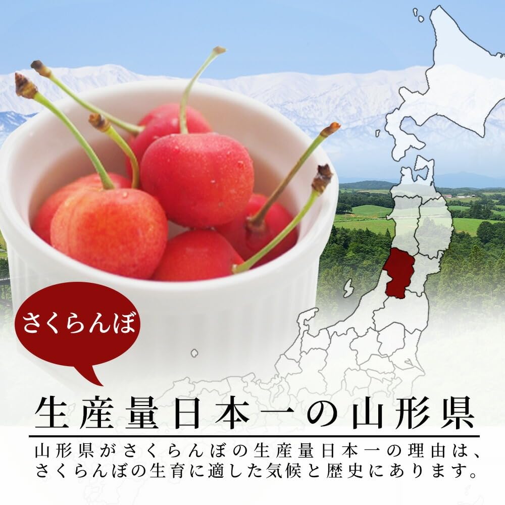Amazon.co.jp: [山形eLab] 母の日ギフト さくらんぼ 佐藤錦 特秀 L玉