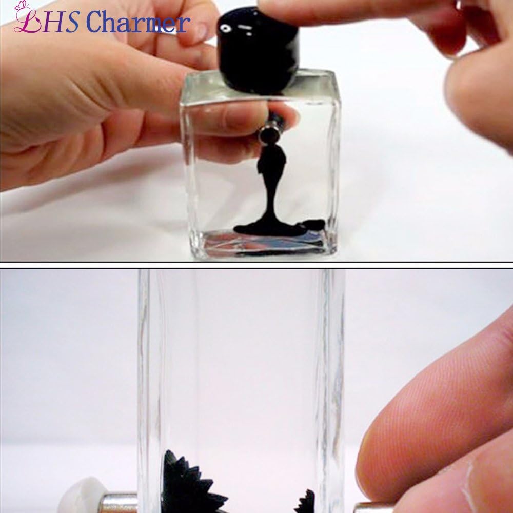 LHS Charmer Magnetic Liquid Desktop Accessory Interactive Toy
