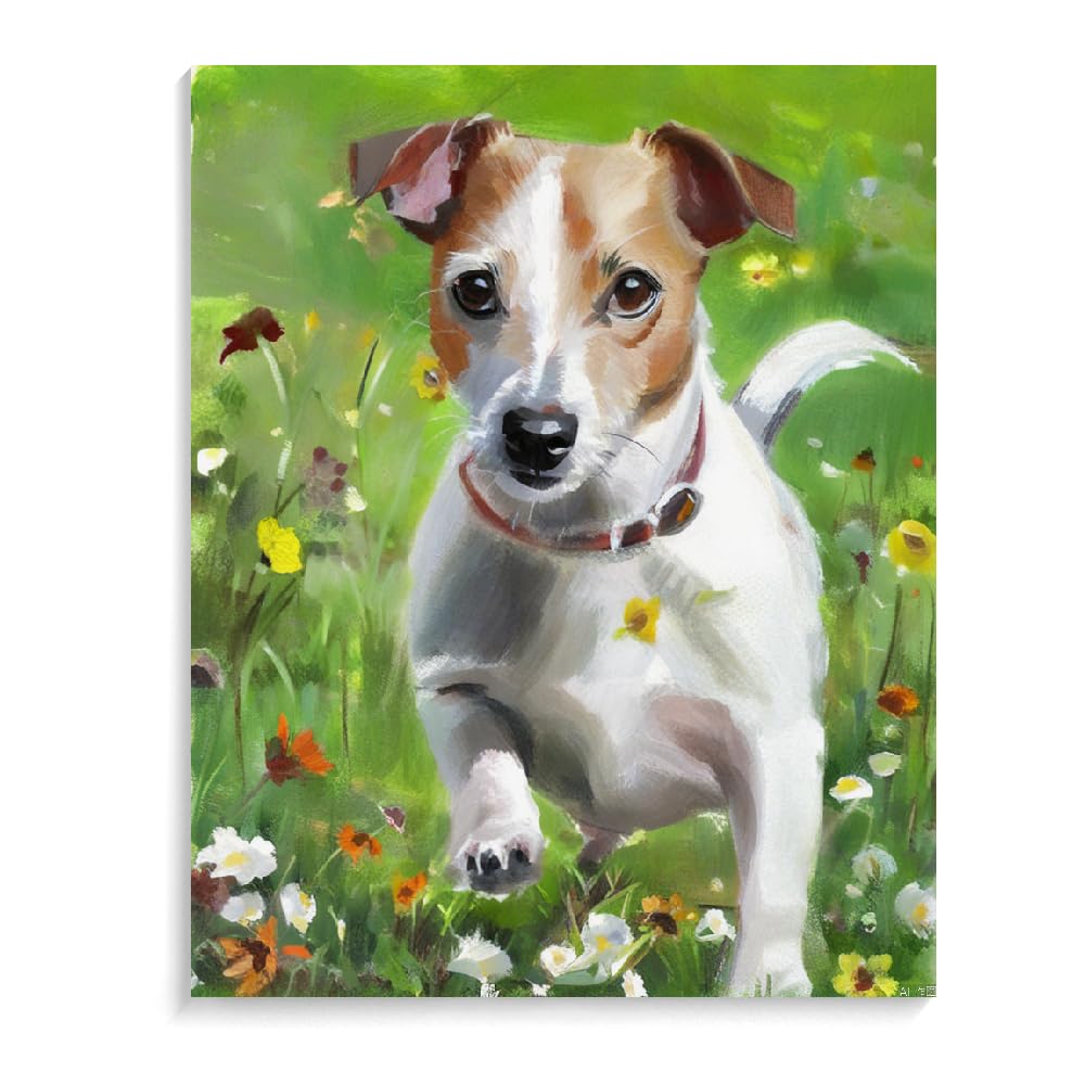 DIY Paint by Numbers Jack Russell Terrier Dog on Canvas Painting Kits for Adult, Beginner Oil Painting Kits Gift 16x20inch(40x50cm) Frameless