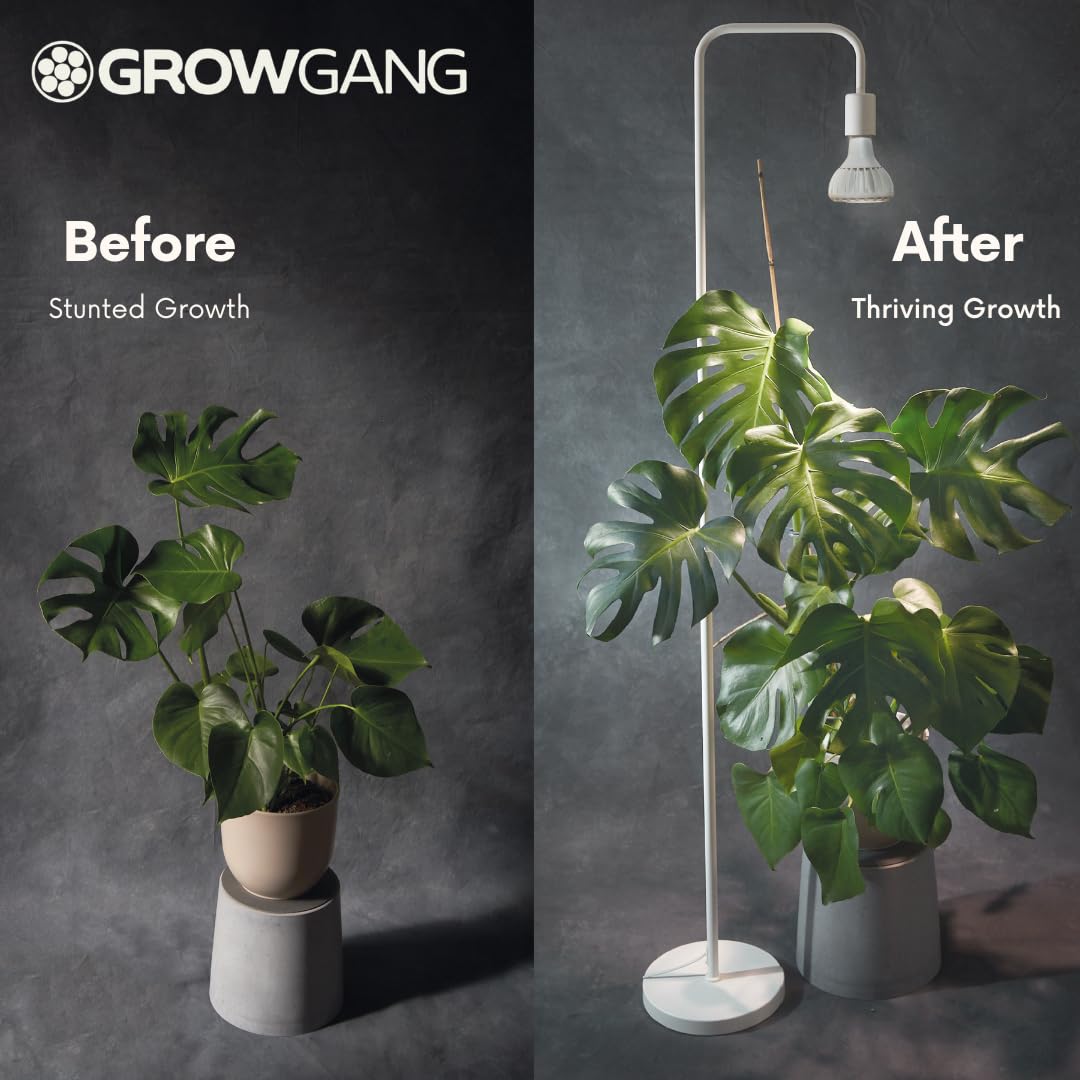 Coltiva luci per piante da interno, Lampadina a LED a spettro completo, luce per coltivazione indoor per piante grasse erbe e cactus, germinazione di piantine, E27, PPF μmol/s 33.1.