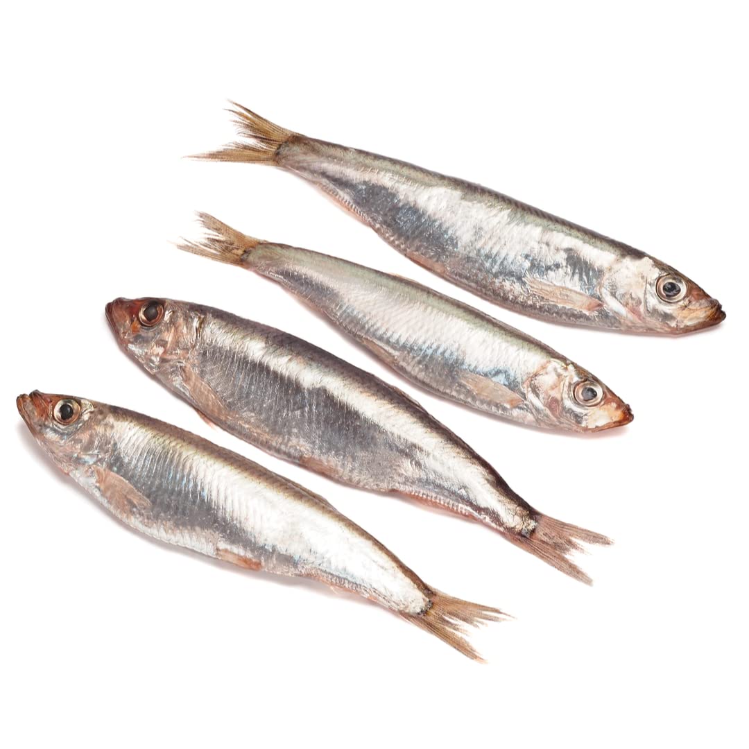 Frozen Sprats 3kg – Premium Quality Whole Fish – Wild Caught North Atlantic Sprat – Ideal for Grilling, Smoking, Frying or Pet Food – Sustainably Sourced – 3kg ±10%