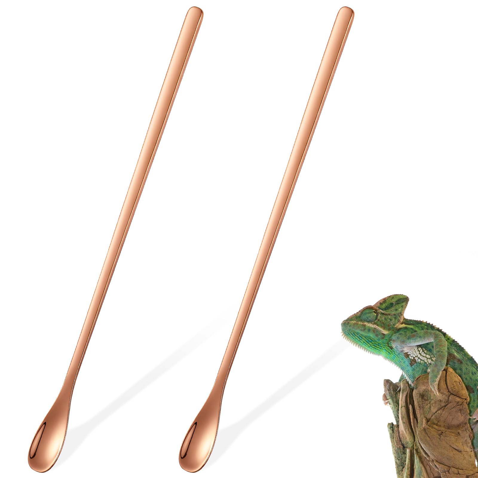 Amazon | Toyvian 給餌スプーン 2個 爬虫類 餌やりツール ステンレス製