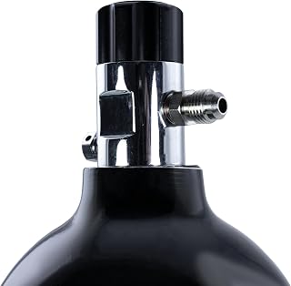 Nitrous Outlet Powersports 2.5lb Bottle